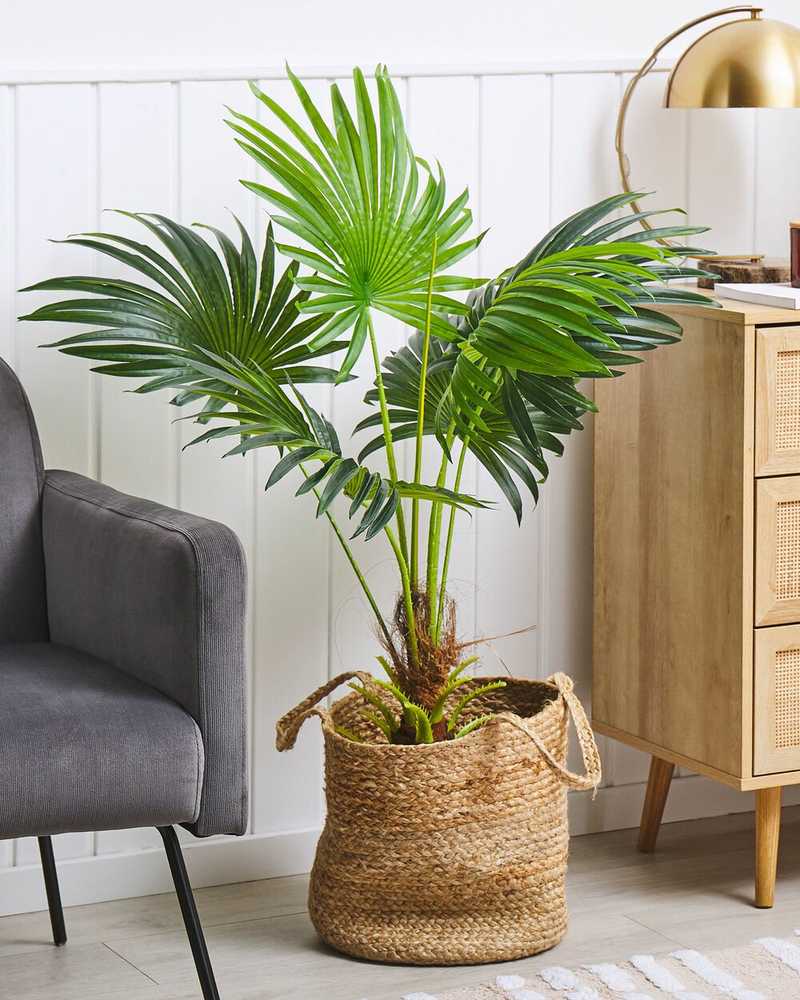 Beliani Dirbtinis augalas FAN PALM 100 cm Žalias