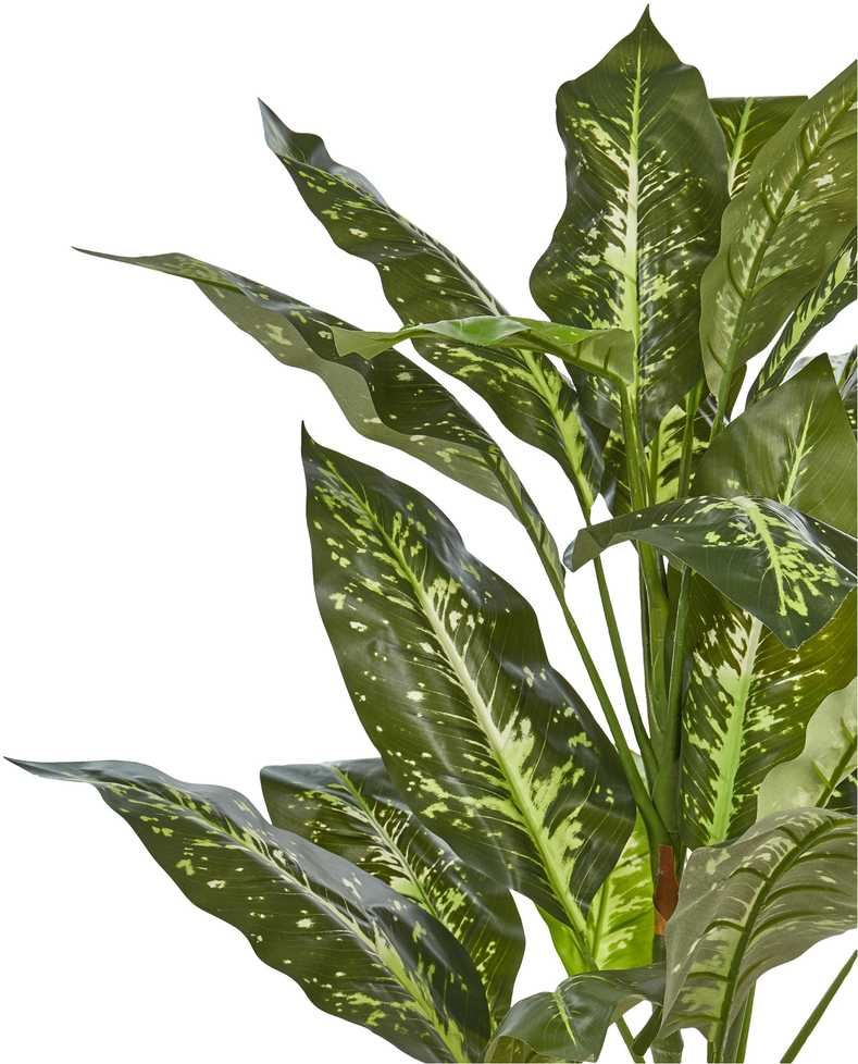 Beliani Dirbtinis augalas DIEFFENBACHIA 110 cm žalias