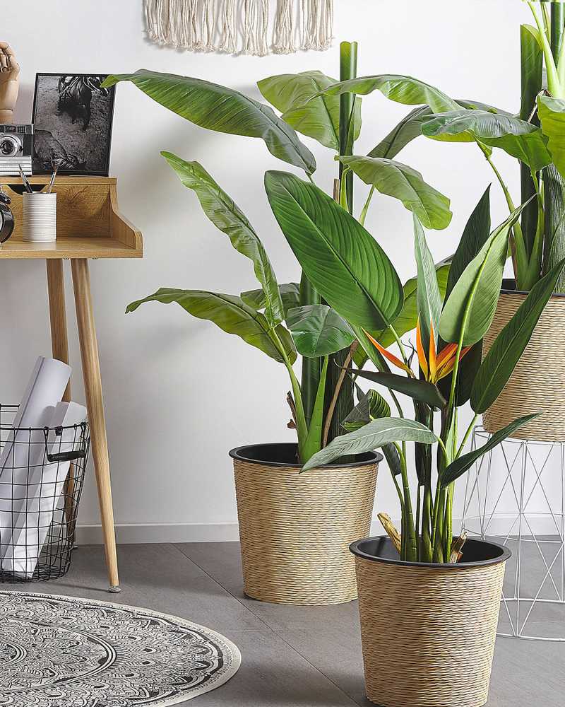 Beliani Dirbtinis augalas STRELITZIA TREE 115 cm žalias