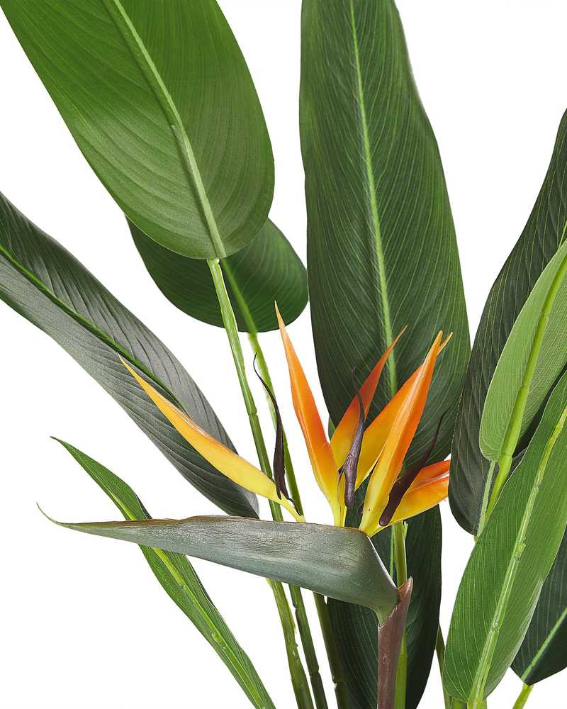 Beliani Dirbtinis augalas STRELITZIA TREE 115 cm žalias