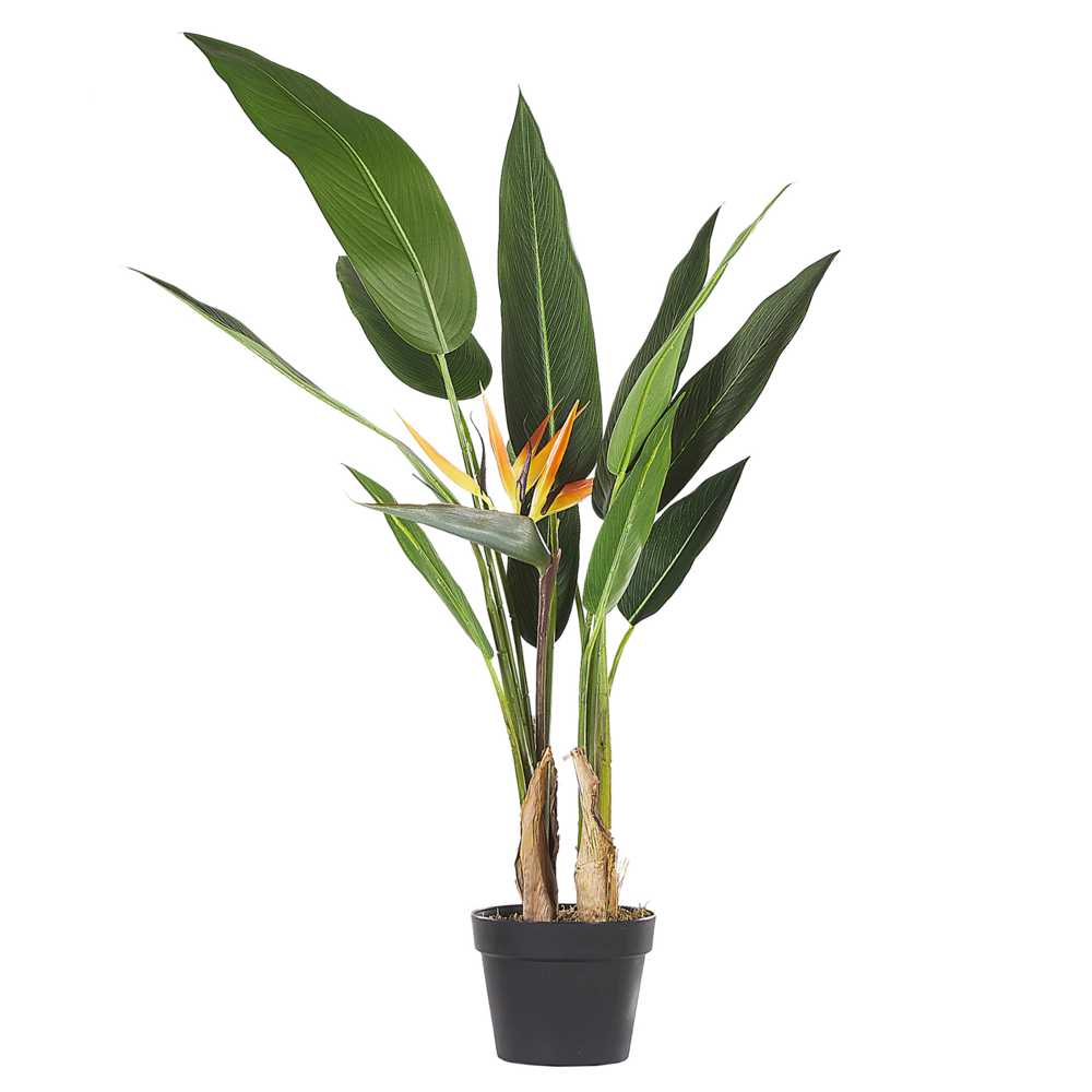 Beliani Dirbtinis augalas STRELITZIA TREE 115 cm žalias