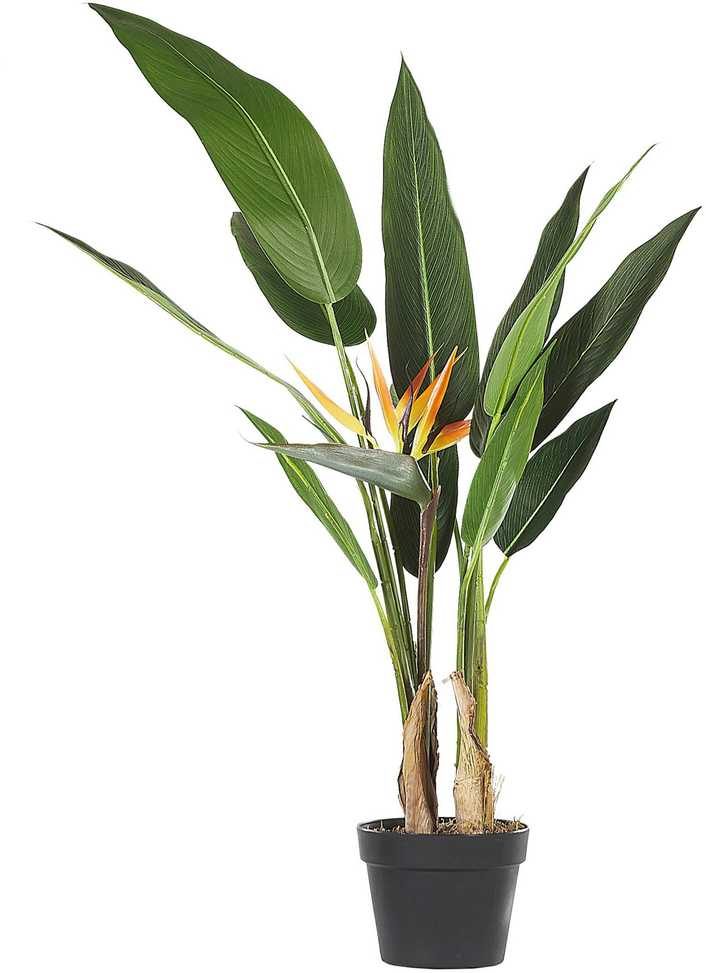 Beliani Dirbtinis augalas STRELITZIA TREE 115 cm žalias
