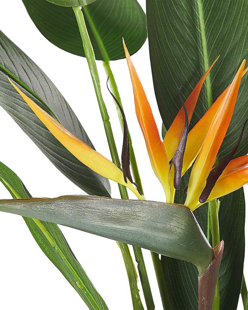 Beliani Dirbtinis augalas STRELITZIA TREE 115 cm žalias
