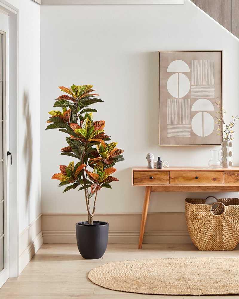 Beliani Dirbtinis augalas CODIAEUM 140 cm žalias