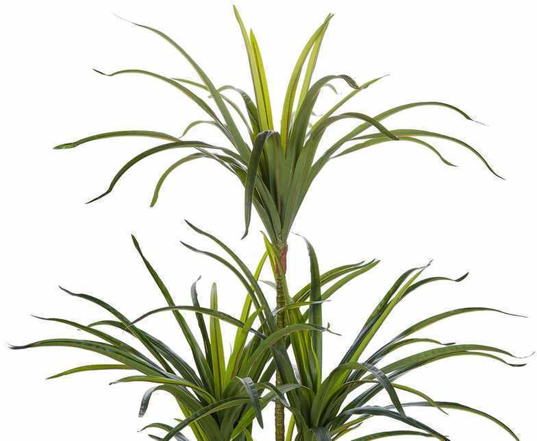 Beliani Dirbtinis augalas DRACAENA ANITA 147 cm žalias