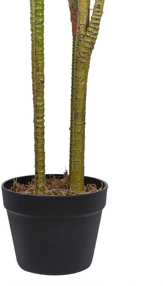 Beliani Dirbtinis augalas DRACAENA ANITA 147 cm žalias