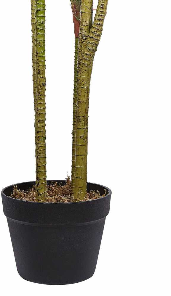 Beliani Dirbtinis augalas DRACAENA ANITA 147 cm žalias