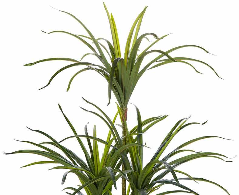 Beliani Dirbtinis augalas DRACAENA ANITA 147 cm žalias