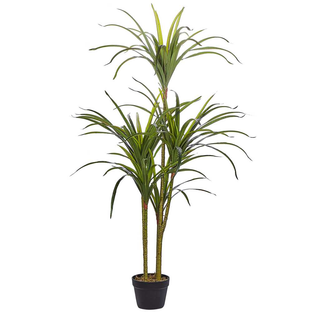 Beliani Dirbtinis augalas DRACAENA ANITA 147 cm žalias