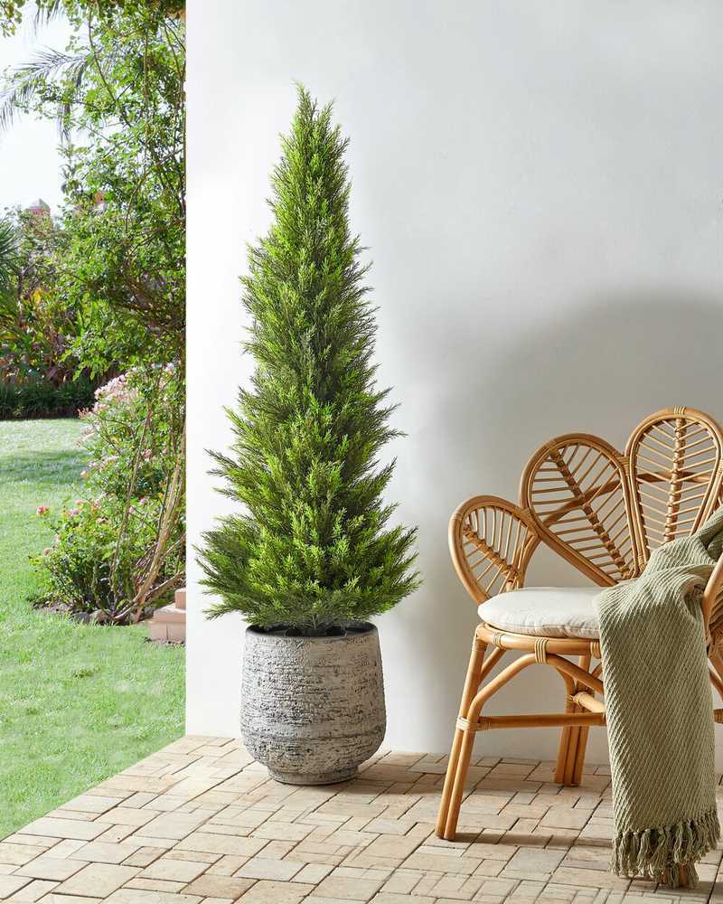 Beliani Dirbtinis augalas CEDAR TREE 153 cm žalias