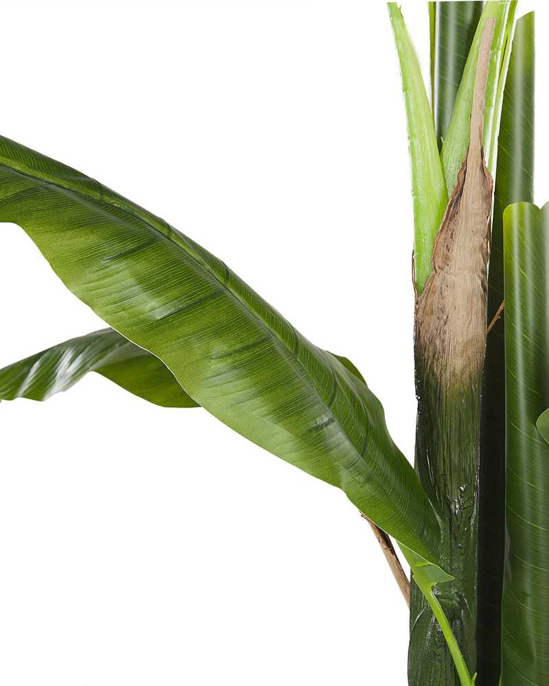 Beliani Dirbtinis augalas MUSA TREE 154 cm žalias