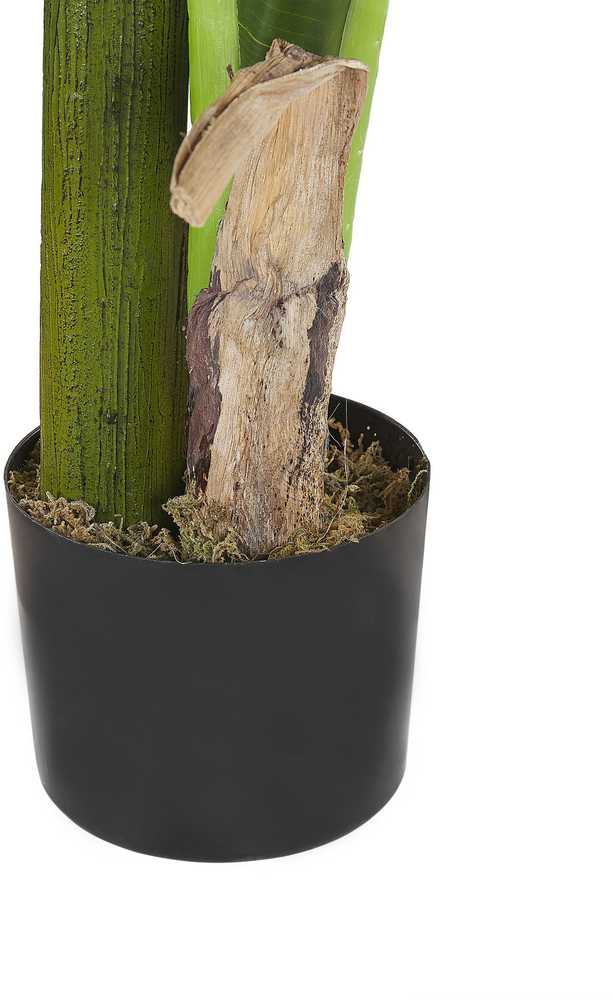 Beliani Dirbtinis augalas MUSA TREE 154 cm žalias