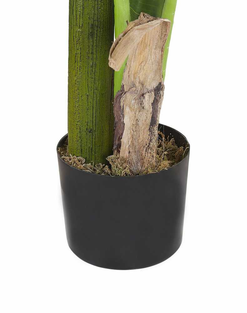 Beliani Dirbtinis augalas MUSA TREE 154 cm žalias