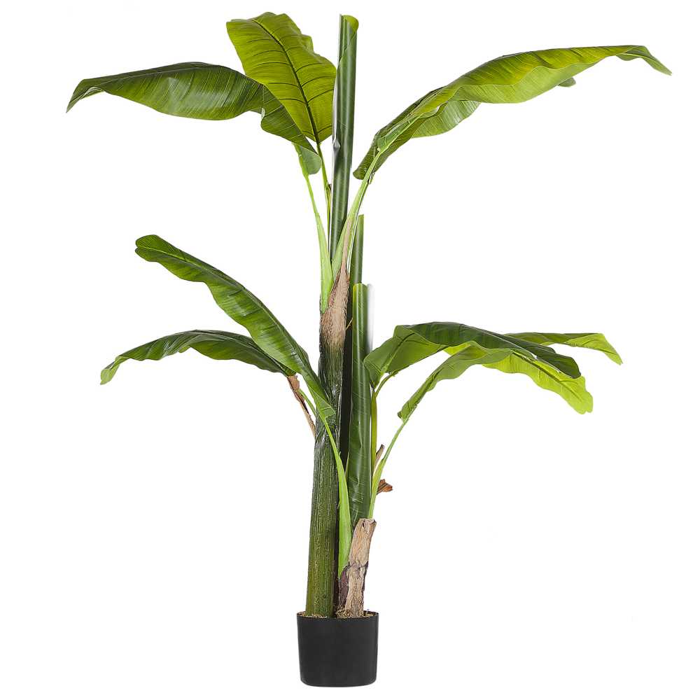 Beliani Dirbtinis augalas MUSA TREE 154 cm žalias