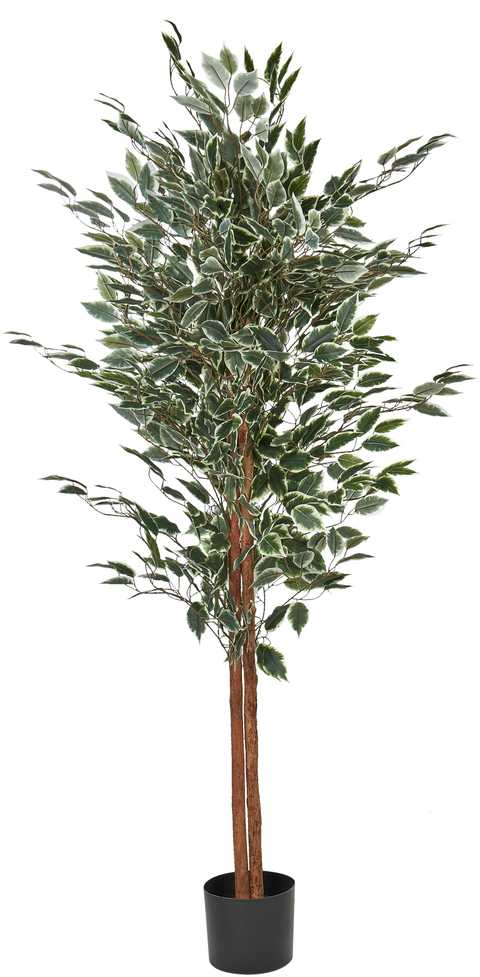Beliani Dirbtinis augalas FICUS 167 cm žalias