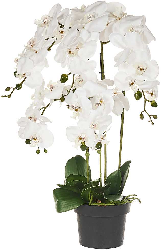 Beliani Dirbtinis augalas ORCHID 65 cm baltas