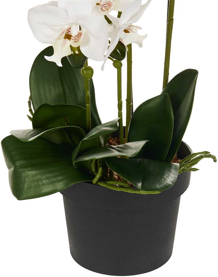 Beliani Dirbtinis augalas ORCHID 65 cm baltas