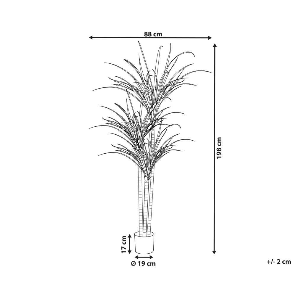 Beliani Dirbtinis augalas DRACAENA ANITA 198 cm žalias
