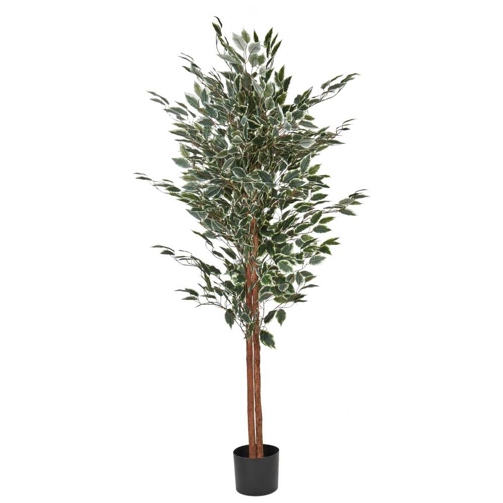 Beliani Dirbtinis augalas FICUS 167 cm žalias