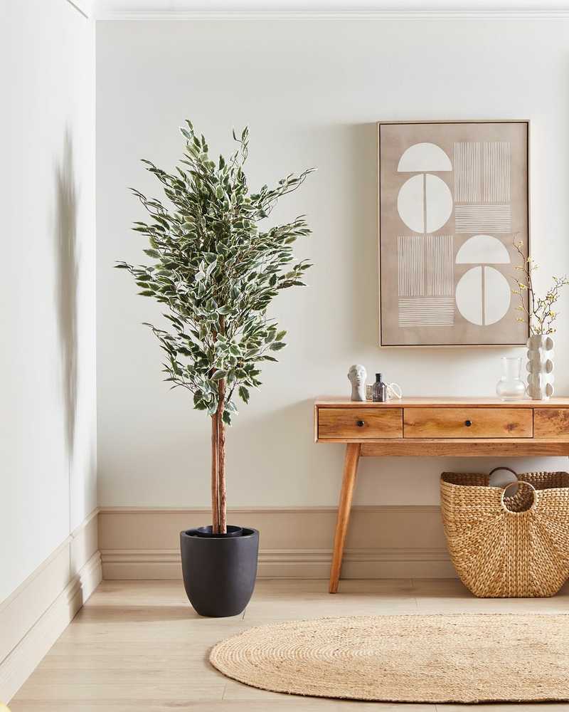 Beliani Dirbtinis augalas FICUS 167 cm žalias