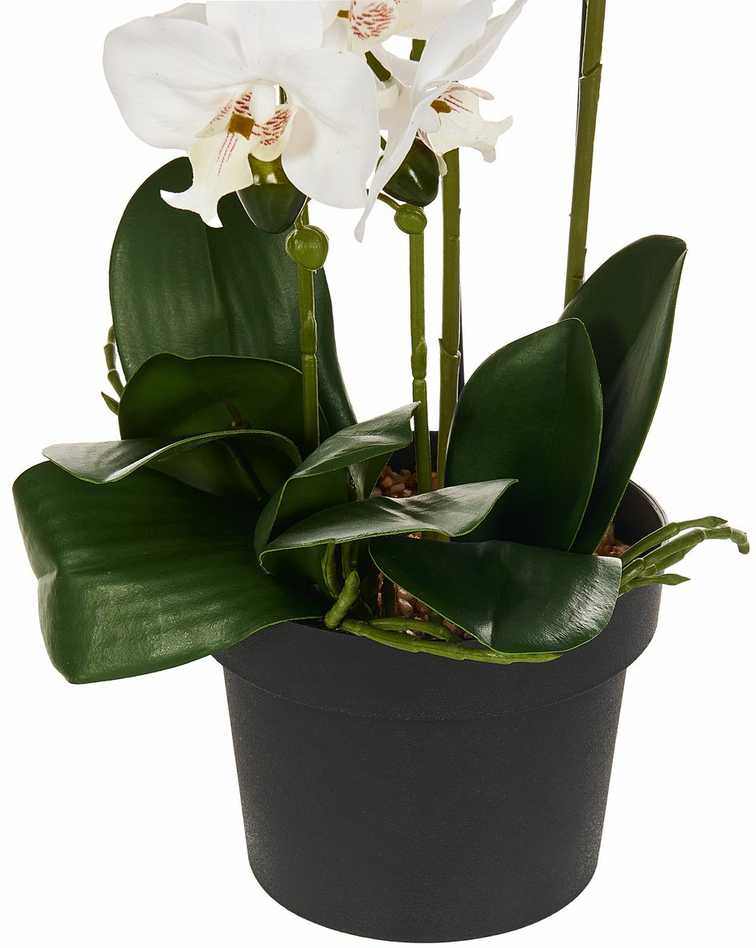 Beliani Dirbtinis augalas ORCHID 65 cm baltas