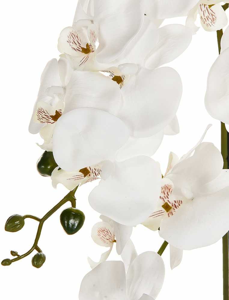 Beliani Dirbtinis augalas ORCHID 65 cm baltas