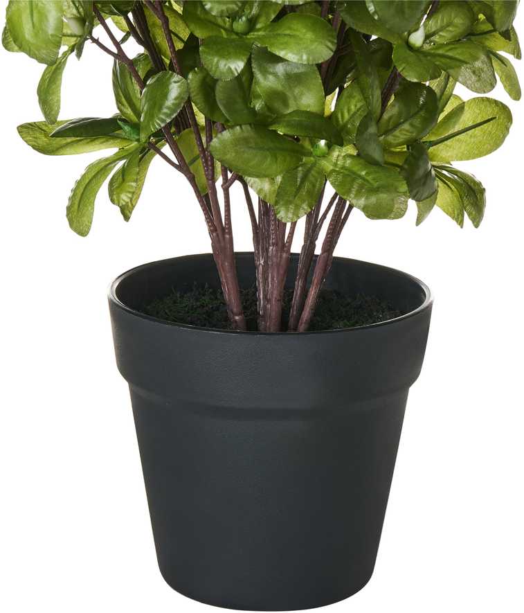 Beliani Dirbtinis augalas NOVELLA 36 cm Baltas