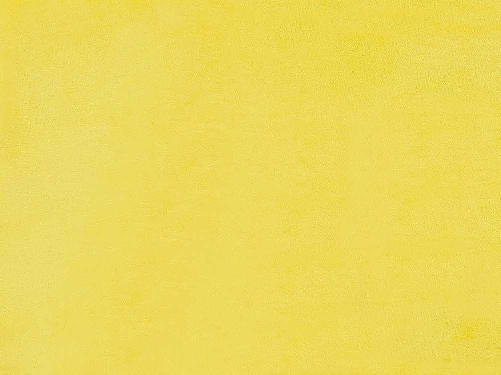 Beliani Veliūrinė lova FITOU 160 x 200 cm geltona