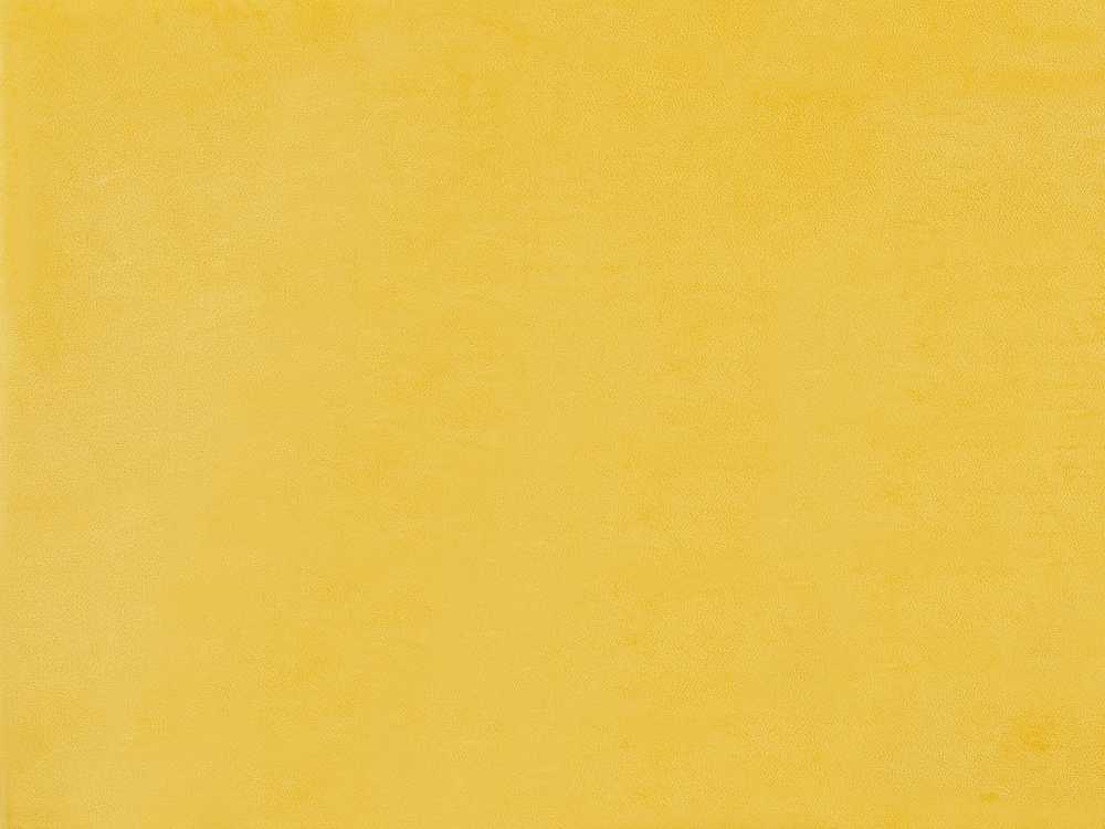 Beliani Dviejų asmenų lova FITOU, geltona, 180 x 200 cm
