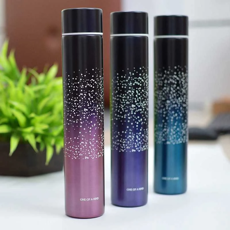 260 ml nerūdijančio plieno termosas