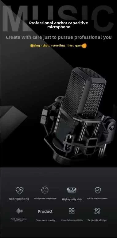 Profesionalus mikrofonas – podcastams, live transliacijoms, pokalbiams ir dainavimui