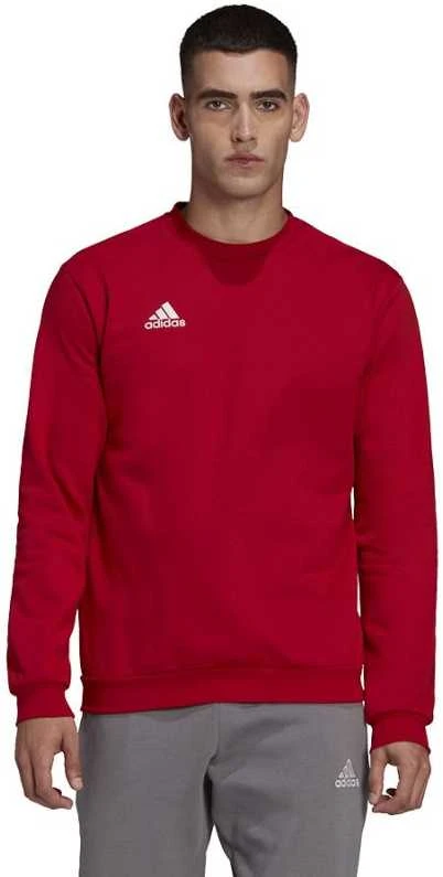 Vyriškas Džemperis adidas Entrada Raudonas HB0577 XL