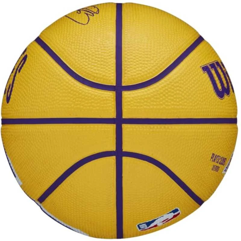 Wilson NBA žaidėjo ikona Stephen Curry mini kamuolinukas WZ4007401XB