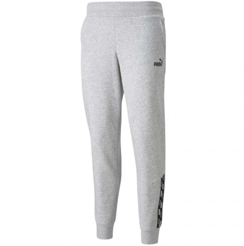 Kelnės moterims Puma Power Pants FL pilka 589546 04 (L)