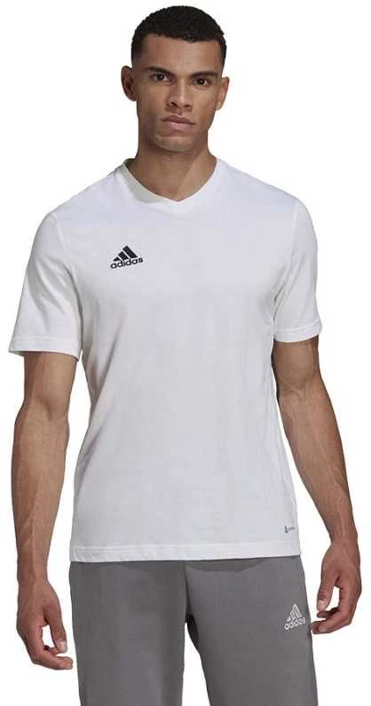 Marškinėliai vyrams Adidas Entrada 22, balti