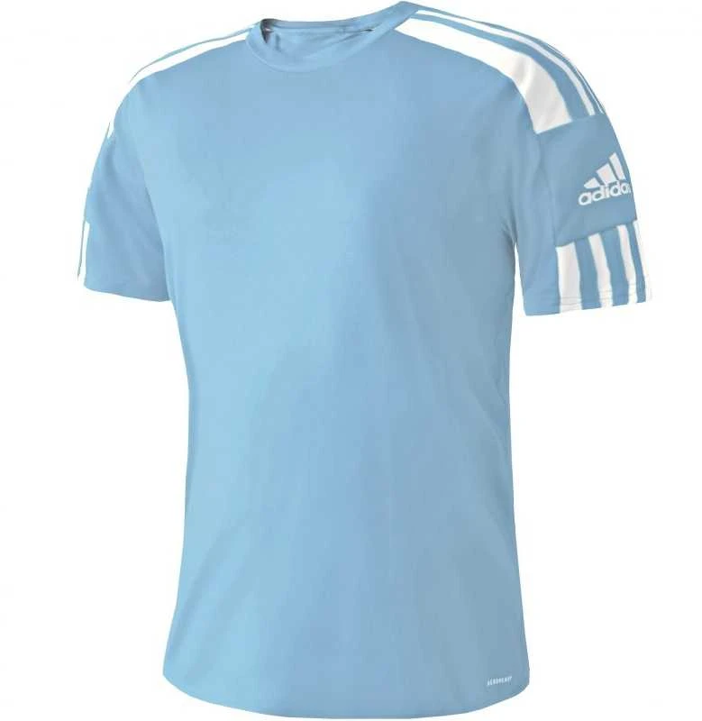 Marškinėliai vyrams Adidas Squadra 21 JSY M GN6726, mėlyni