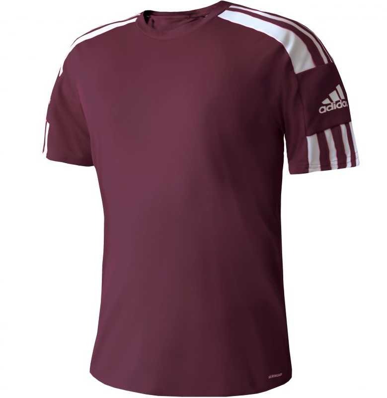 Adidas Squadra 21 JSY M GN8091 Marškinėliai