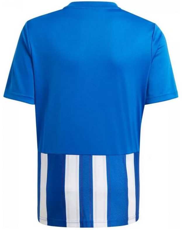 Marškinėliai adidas Striped 21 Jr GH7323 (Rozmiar-164)