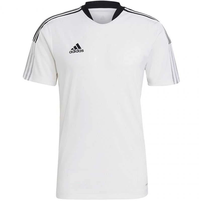 Marškinėliai vyrams Adidas Tiro 21 Training Jersey M GM7590, balti