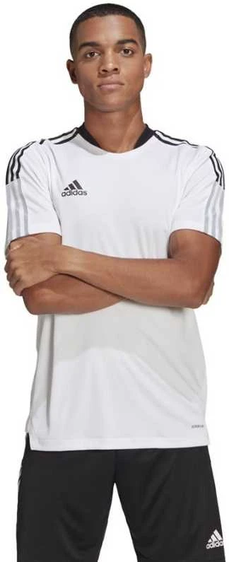 Marškinėliai vyrams Adidas Tiro 21 Training Jersey M GM7590, balti