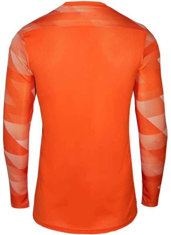 Bluza bramkarska vyriška Nike Dry Park IV JSY LS GK oranžinė CJ6066 819 (L)