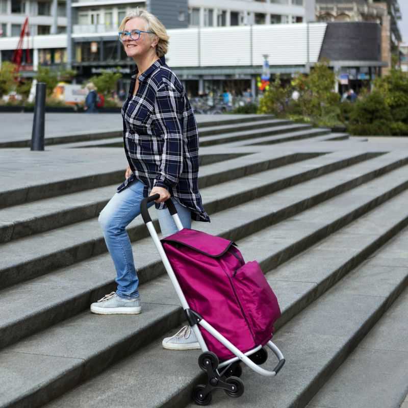 Aktivo Kruizeris Expert Premium 604361 Pirkinių vežimėlis
