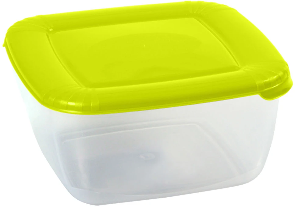 Albert 1,5 l DOMOTTI maisto indas