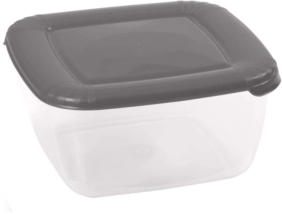 Albert maisto konteineris pilkas 2,5 l DOMOTTI
