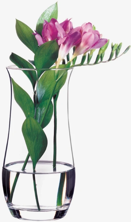 Botanica vaza 21 cm PASABAHCE