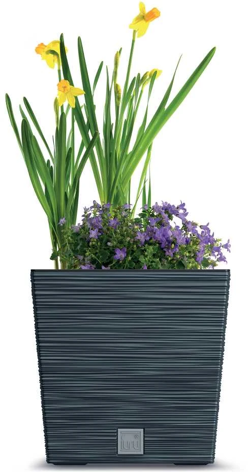 Prosperplast Vazonas FURU SQUARE LOW su įdėklu 10/7,5 L 240x240x235 mm antracito sp. Prosperp