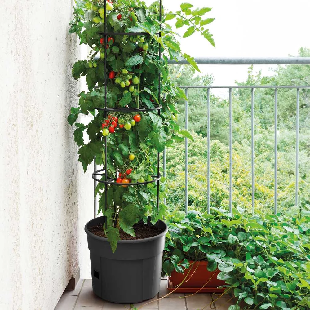 Prosperplast Vazonas Ipom400 31x39 cm