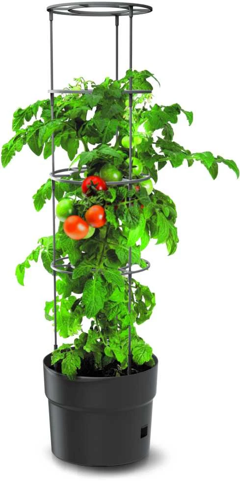 Prosperplast Vazonas Ipom400 31x39 cm
