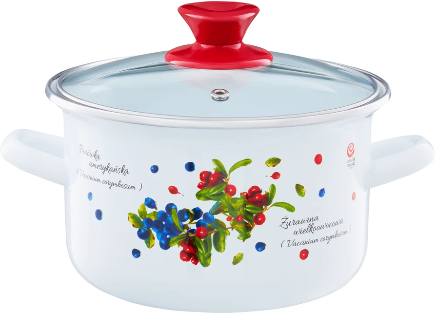 Emaliuotas puodas su dangteliu Blueberry 22 cm 5 l EMALIA OLKUSZ