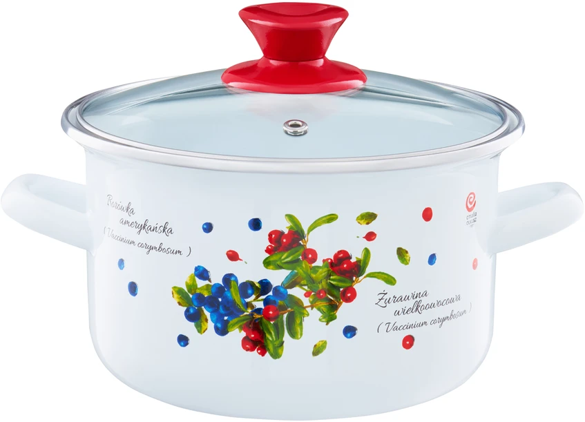 Emaliuotas puodas su dangteliu Blueberry 20 cm 3,8 l EMALIA OLKUSZ
